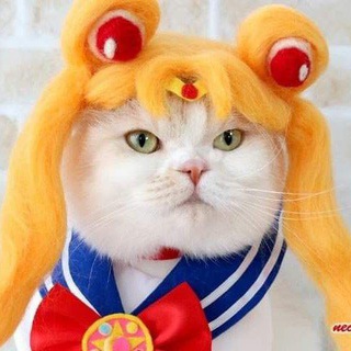 Telegram profile photo for Подслушано Косплей ДВ