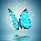 Telegram profile photo for أزياء الاميرات للجملة والمفرد