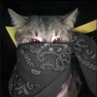 Telegram profile photo for Amon Config
