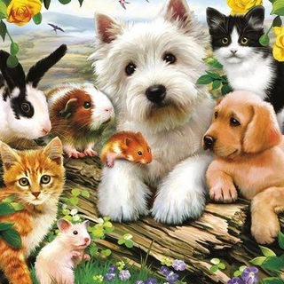 Telegram profile photo for Продажа пристройство поиск животных