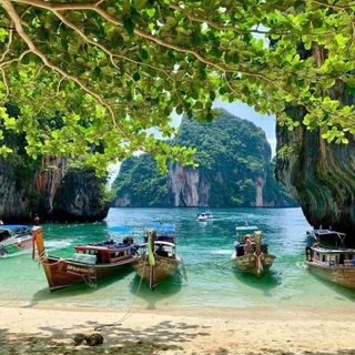 Telegram group profile photo for Пхукет🇹🇭Объявления