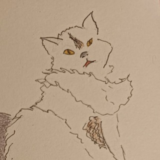Telegram profile photo for Рита читає, а Ада перекладає