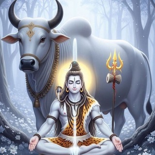 Telegram profile photo for Indian Stock Market - All Tips @MLT51