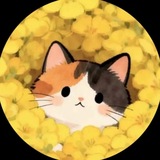 Telegram profile photo for عالم تُومي🧘🏻♀️.