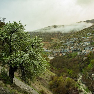 Telegram profile photo for کانال شورای شهر باینگان