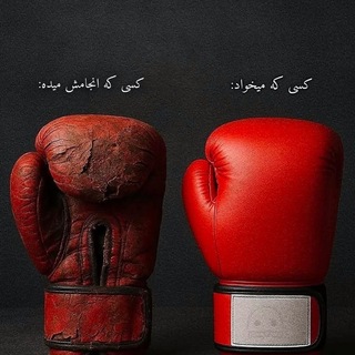 Telegram profile photo for مهران ساعدی