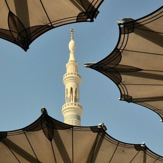 Telegram profile photo for تَسجِيلات المُنوّرة