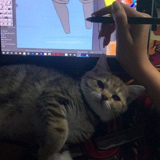 Telegram profile photo for Live Student's 🙈