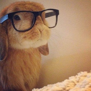 Telegram profile photo for арты наначян