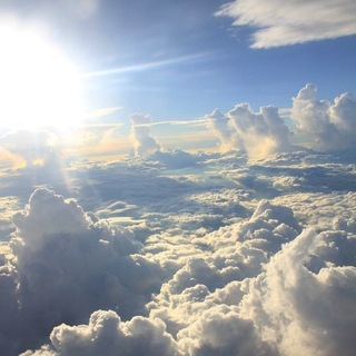 Telegram profile photo for ๐ธ๏ธ