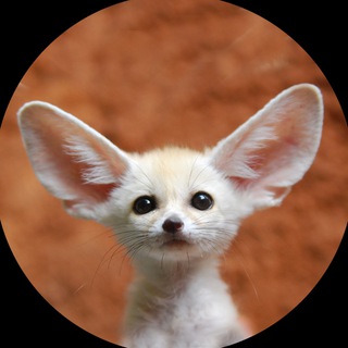 Telegram profile photo for RET - Audio Only