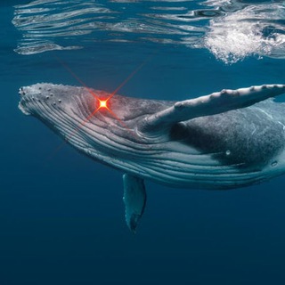Telegram profile photo for WhalePump DeFi Revolution