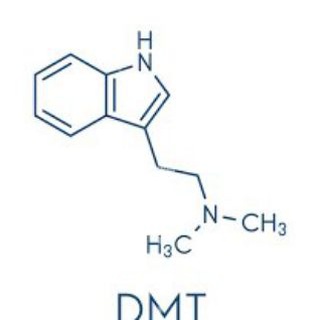 Telegram profile photo for DMT LIVE️🌋
