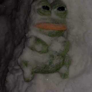 Telegram profile photo for PD