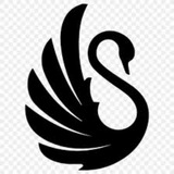 Telegram profile photo for Quantum Stock Info Channel