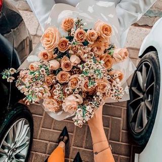 Telegram profile photo for شموووخ انثى💅🏃♀