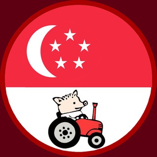 Telegram group profile photo for Сингапур