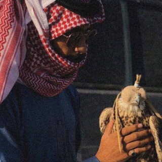 Telegram profile photo for معشي الذيب