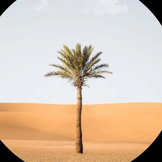 Telegram profile photo for غزالٍ شارد