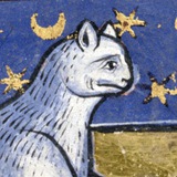 Telegram profile photo for Medieval Cats