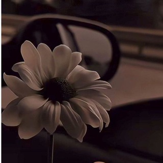 Telegram profile photo for أثـ ر عـ ـابـ ـرة.!