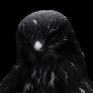 Telegram profile photo for Mine gift