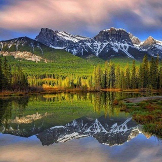 Telegram profile photo for nature