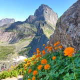 Telegram profile photo for Фотограф Новиков Роман