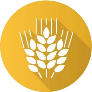 Telegram profile photo for ЗЕРНО ONLINE🌾