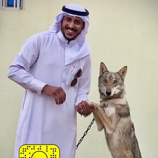 Telegram profile photo for رامي السرحاني