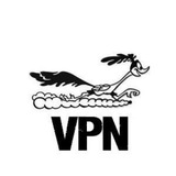 Telegram profile photo for Fast Vpn