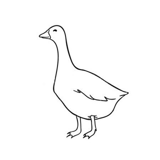 Telegram profile photo for контур гуся