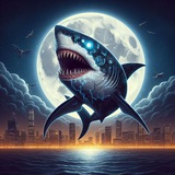 Telegram profile photo for CRYPTO SHARK MOON🚀