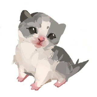 Telegram profile photo for ✨ WEYPI ✨тарелка сырников