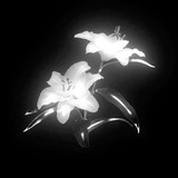 Telegram profile photo for Переходник ♡