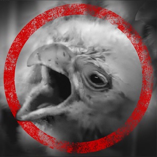 Telegram profile photo for cjiabka