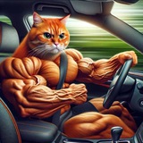 Telegram profile photo for Coins