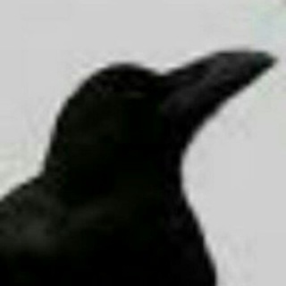 Telegram profile photo for 🔴شبهه نیوز🔴پاسخ به شایعات🔴