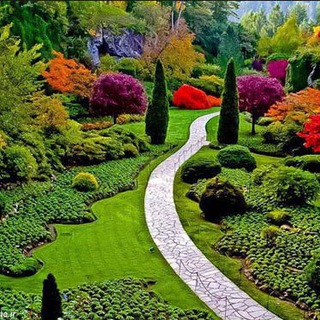 Telegram profile photo for مسیر خوشبختی