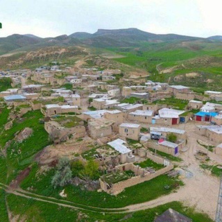 Telegram profile photo for کوچه طلا