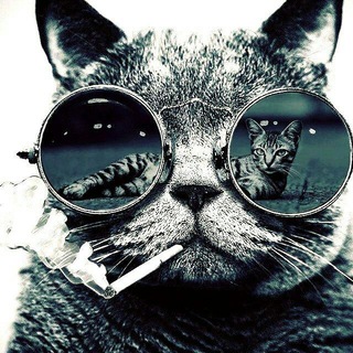 Telegram group profile photo for Хвосты.Uz