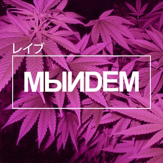 Telegram profile photo for МЫИDEM