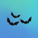 Telegram profile photo for نشر قفاصين 56