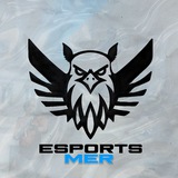 Telegram profile photo for MER eSports — Valorant Mobile