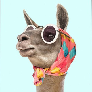 Telegram profile photo for Женская Корпорация ⚜️