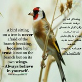 Telegram profile photo for English.789.Mohammadi