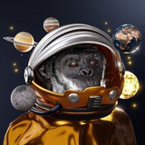 Telegram profile photo for Timbo calls