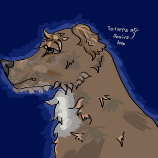Telegram profile photo for ᴛᴩᴇхцʙᴇᴛный
