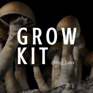 Telegram profile photo for GrowKit Shroom