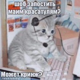 Telegram profile photo for дом котов и эдитов polums 💋